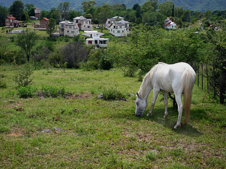 "Paisaje serrano" de Ricardo S. Spinetto