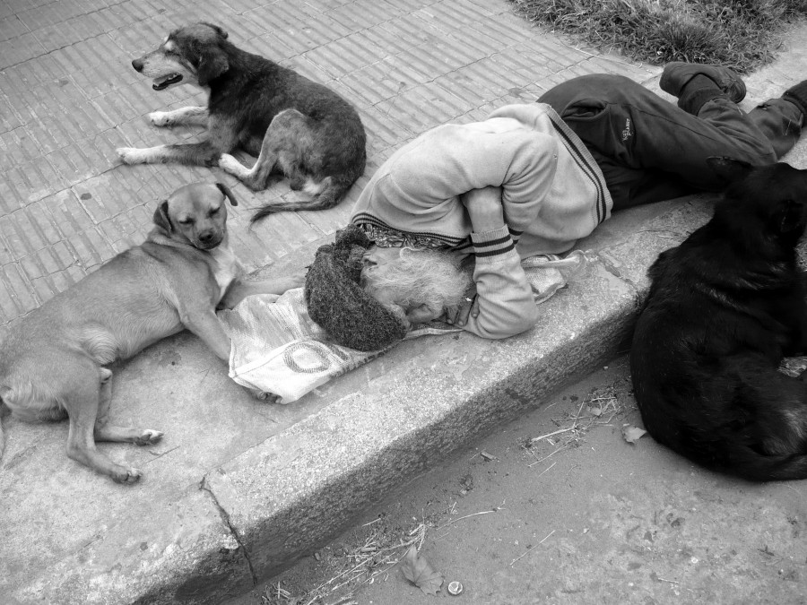 "Tranquilo en la vereda" de Claudio H. Fibla