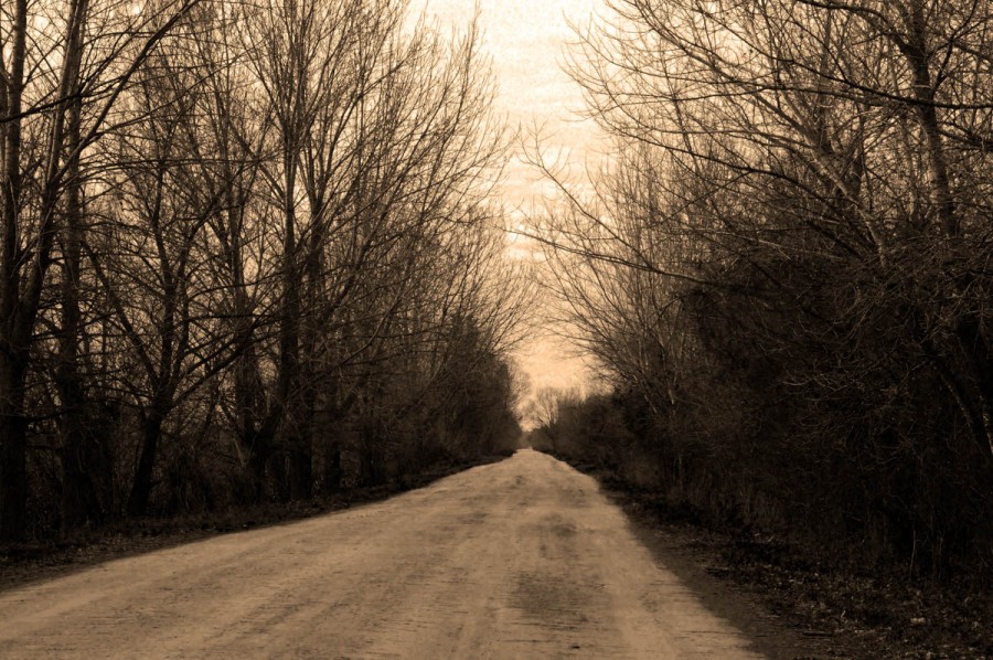 "camino" de Edith Polverini