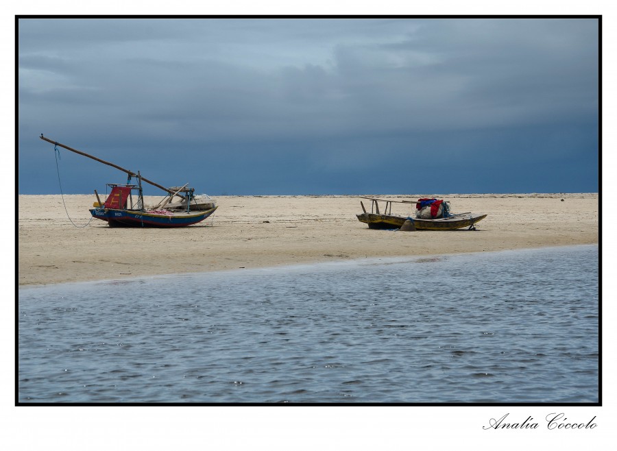 "Entre el cielo y el mar" de Analia Coccolo