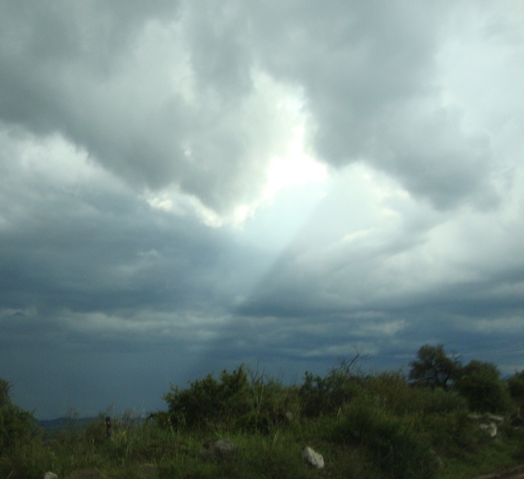 "tormenta dividida" de Marcelo Neisek