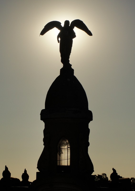 "Casi angeles" de Ricardo Lagrange