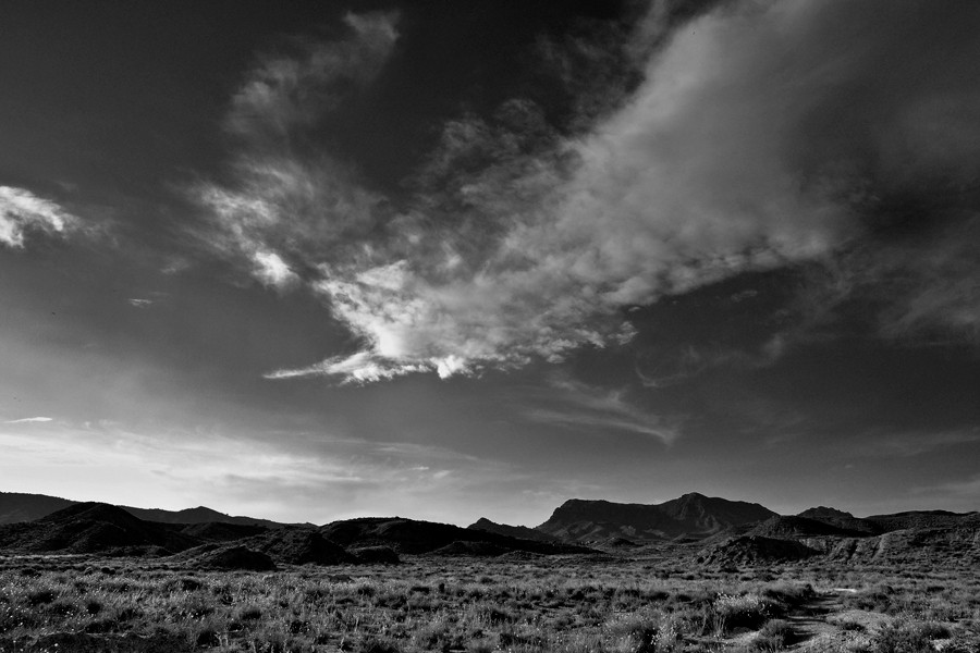 "Desierto" de Francisco Jos Cerd Ortiz