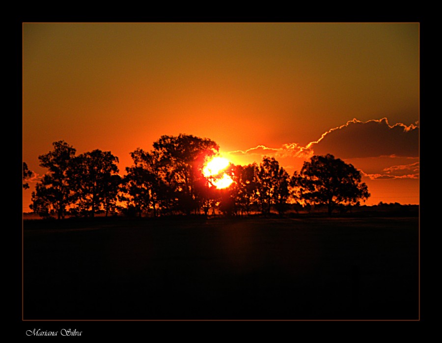 "Atardecer en la ruta" de Mariana Silva