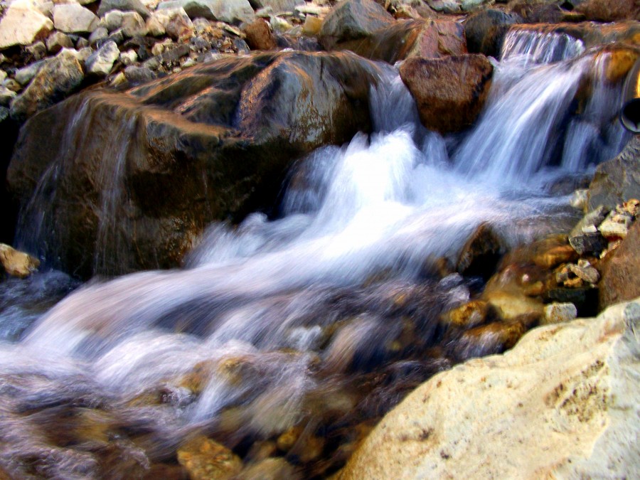 "Peinando al agua.." de Diego Bertaina