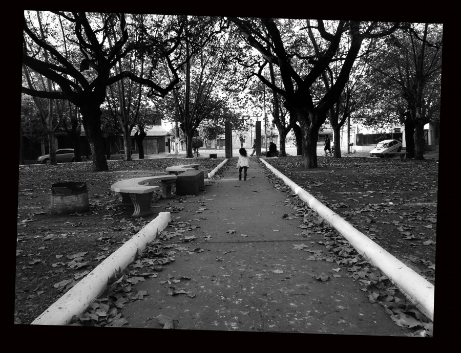 "Camino blanco" de Virginia Rapallini