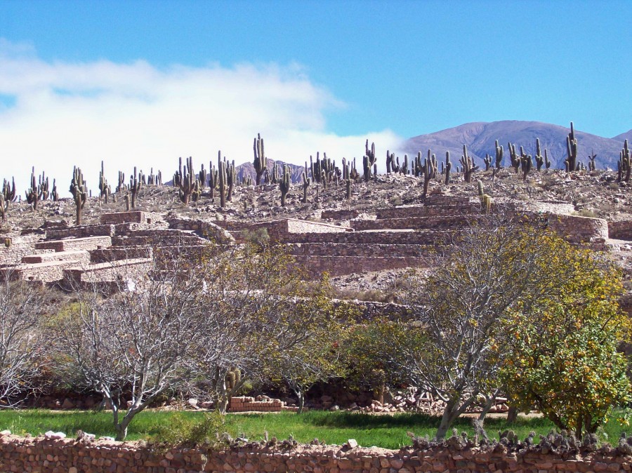 "El Pucar" de Alejandra Di Sipio