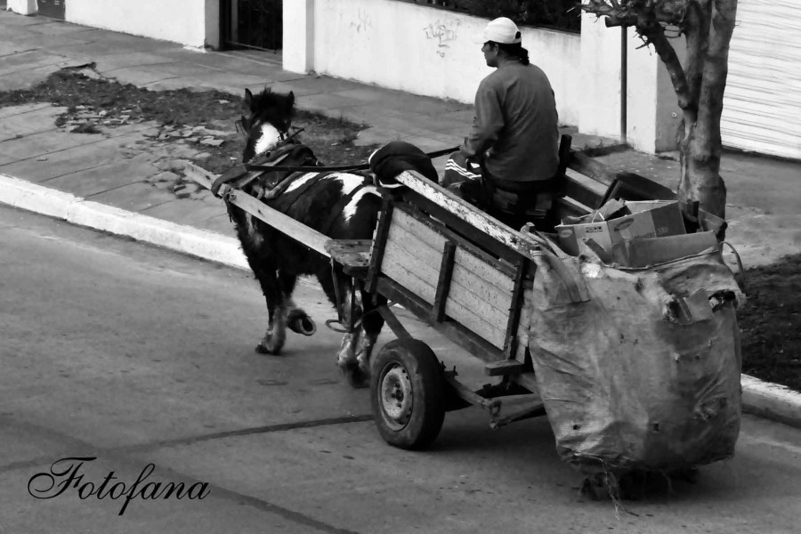 "cartoneando" de Beatriz Franchini