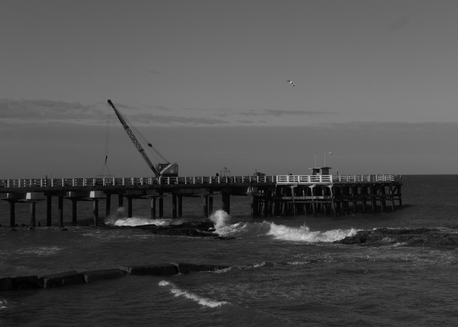 "Reparando el muelle." de Roberto Velazquez