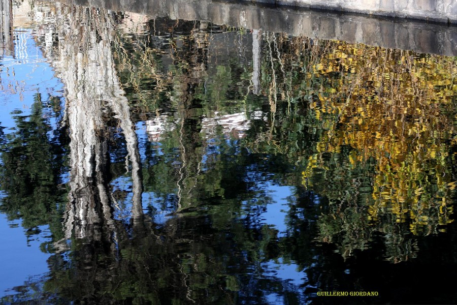 "reflejos de otoo" de Guillermo Giordano