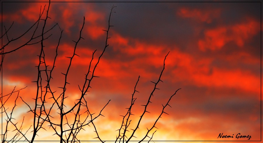 "atardeceres para recordar" de Noemi Gomez