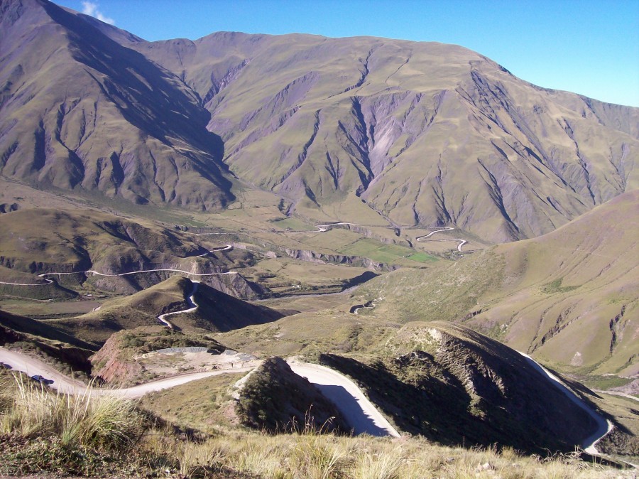 "camino sinuoso" de Alejandra Di Sipio