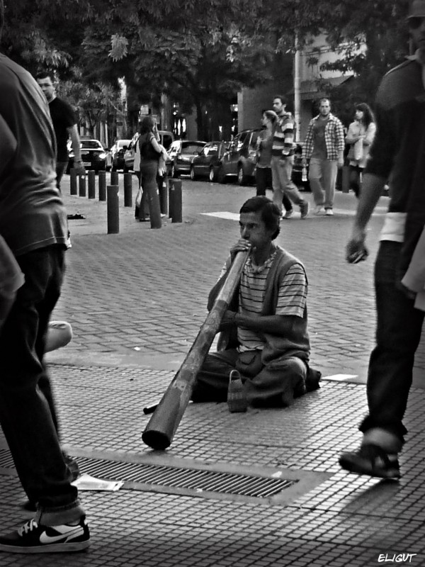 "Un sonido particularmente clido...." de Elizabeth Gutirrez (eligut)