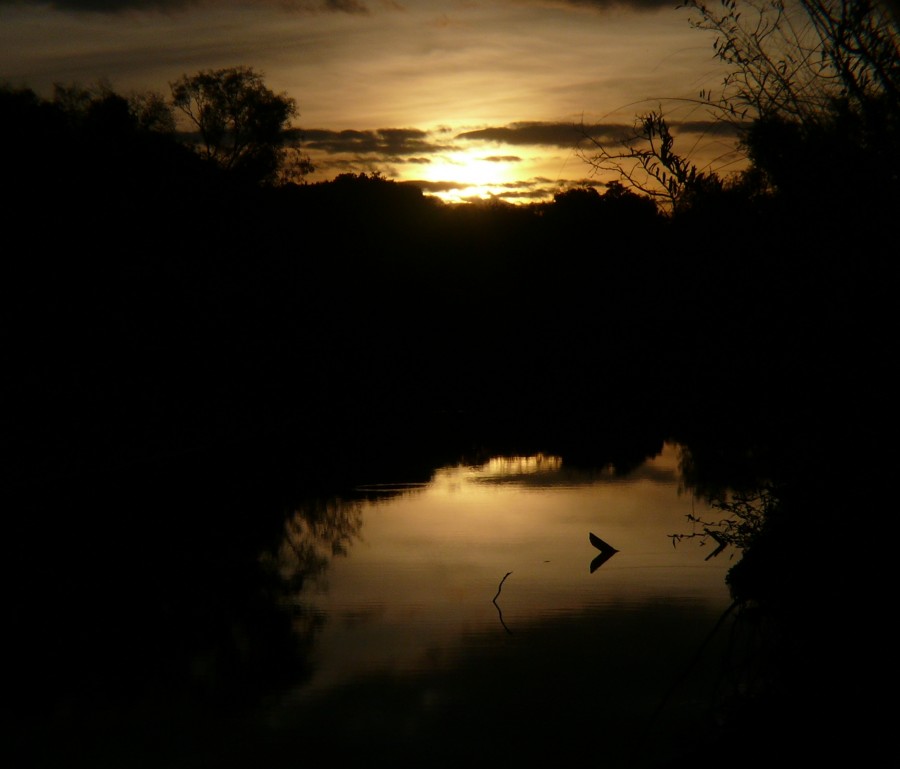 "Reflejos del sol" de Bielo Lopez Lauber