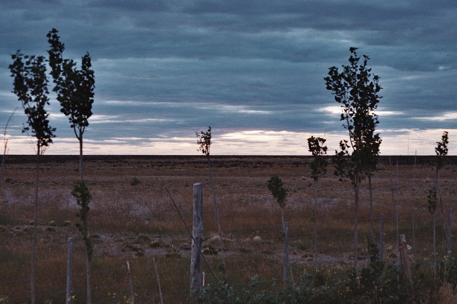 "campo adentro" de Jose Alberto Vicente