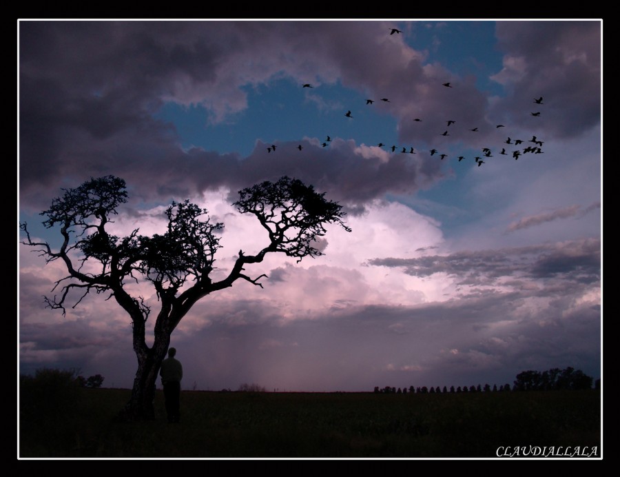 "Esperando la tormenta" de Claudia Alejandra Allala