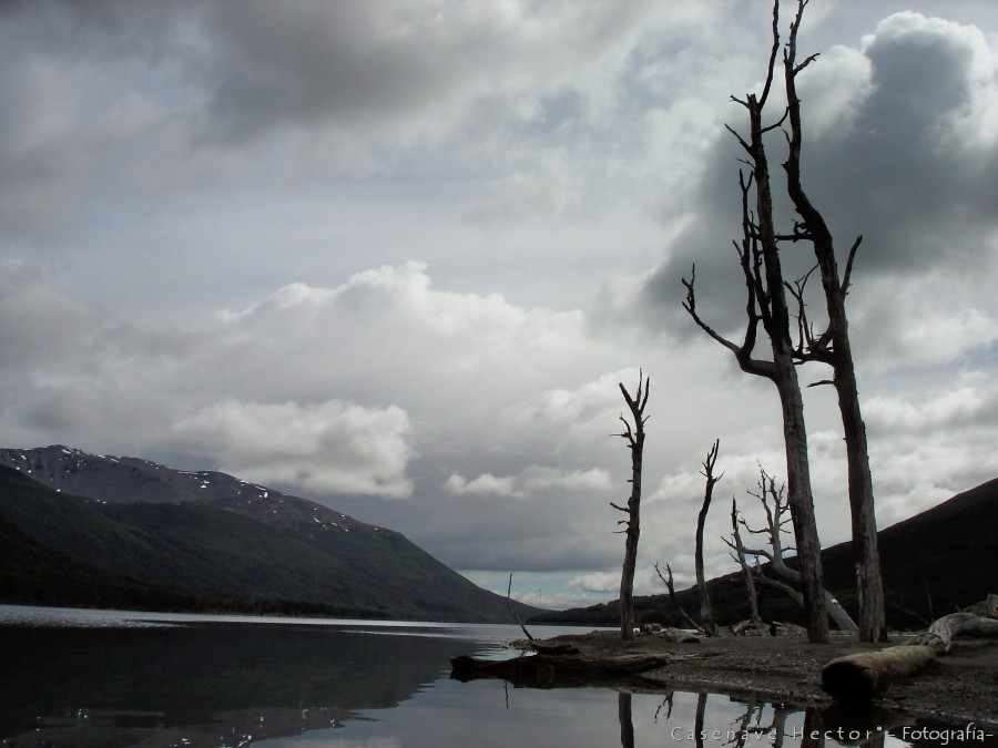 "Lago Escondido" de Casenave Hector