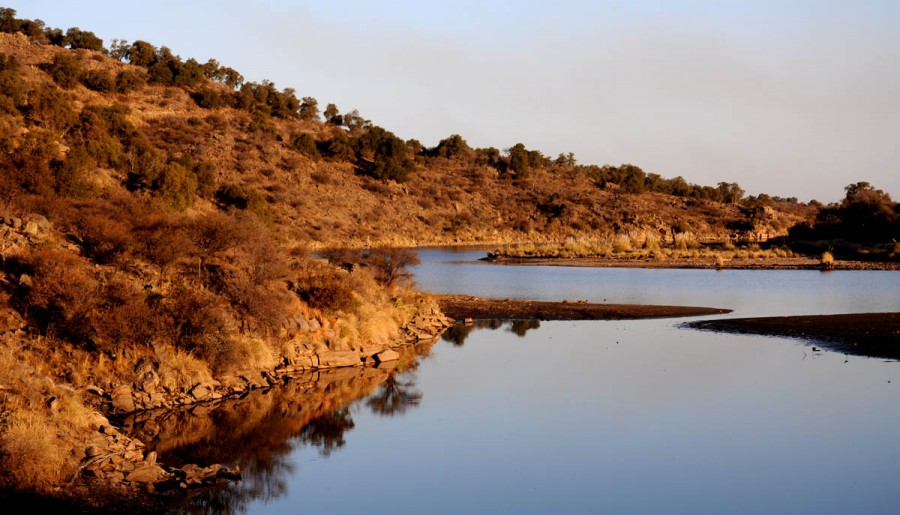 "reflejo de otoo" de Edith Polverini