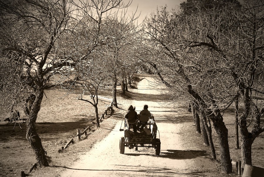 "`Camino de sueos`" de Cristian Francolini