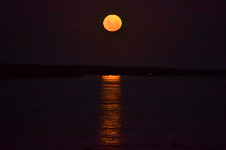 "LUNA NARANJA" de Marcelo Levit