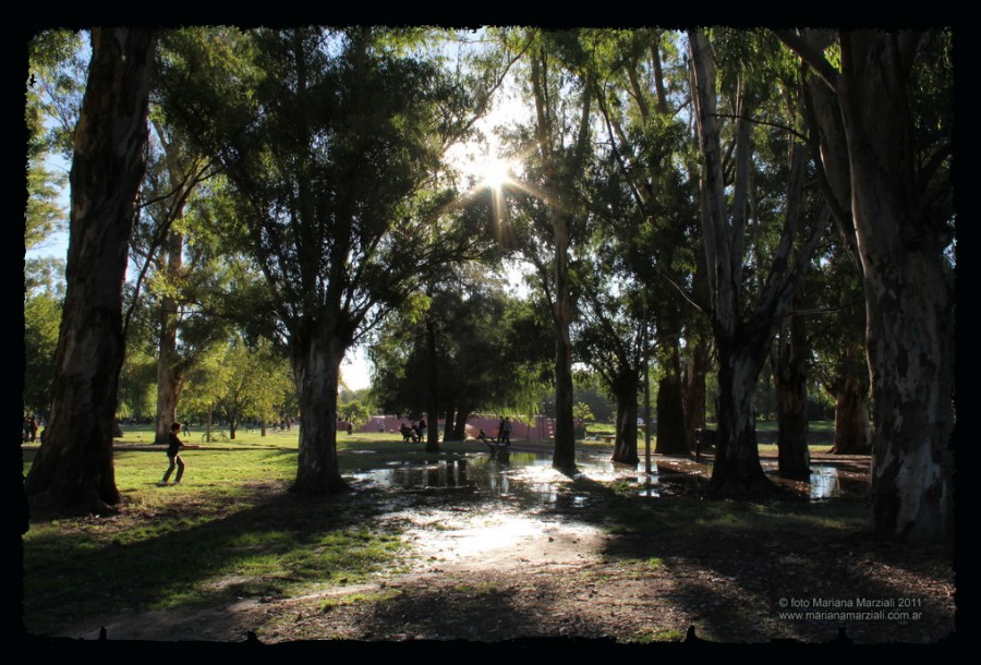 "El paseo" de Mariana Marziali