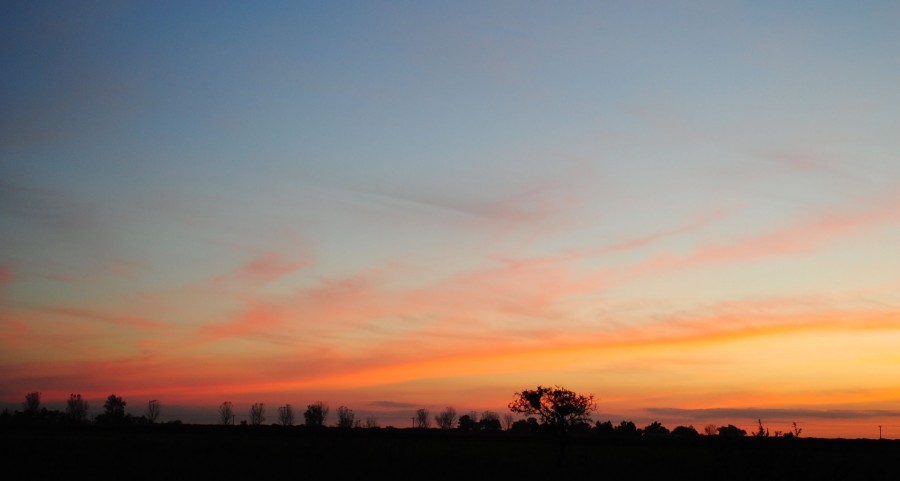 "Cielo de otoo." de Jos Savio