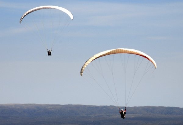 "En pleno vuelo." de Jos Savio