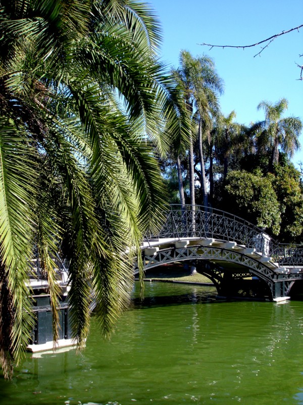 "Puente II" de Alberto Jara