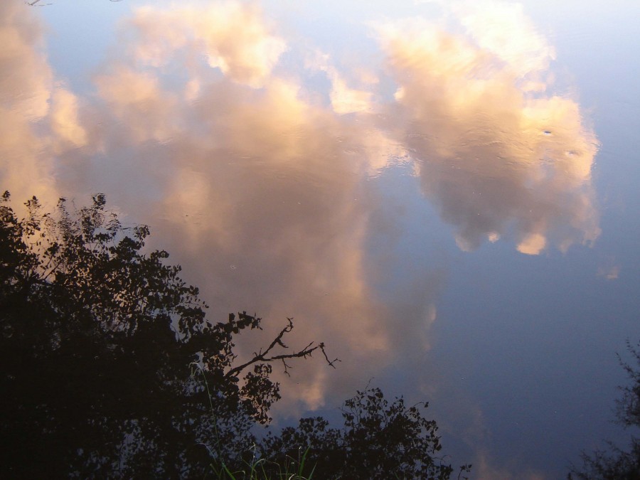 "que ves.... el cielo?...." de Roberto Velazquez