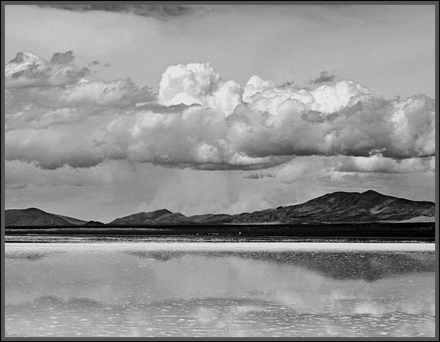 "Reflejos en las Salinas" de Eli - Elisabet Ferrari