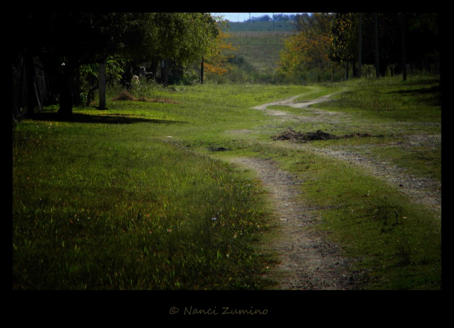 "Caminito" de Nanci Zumino