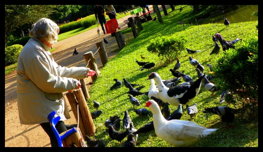 "un dia de otoo en parque I" de Anglica Pegas