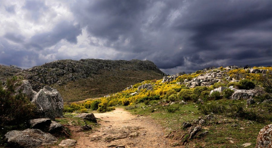 "Sierra del Tigre" de Edith Polverini