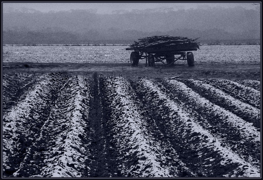 "Monocromia Invernal" de Ruben Perea