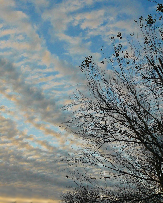 "Caprichosas nubes" de Nora Lilian Iturbide ( Noral )