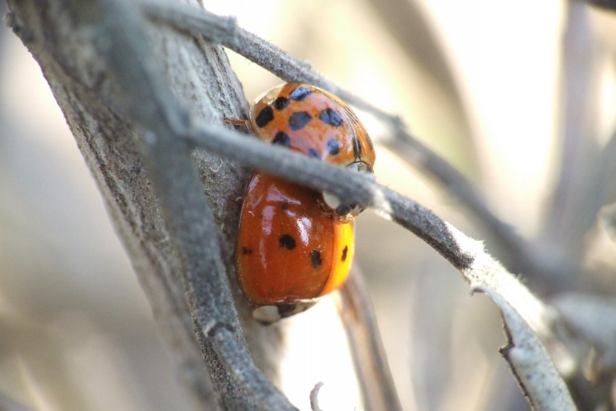 "Tomando Sol" de Ferreyra. Claudia