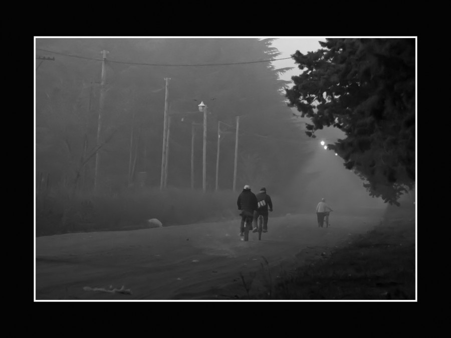 "cenizas al amanecer" de Jose Luis Anania