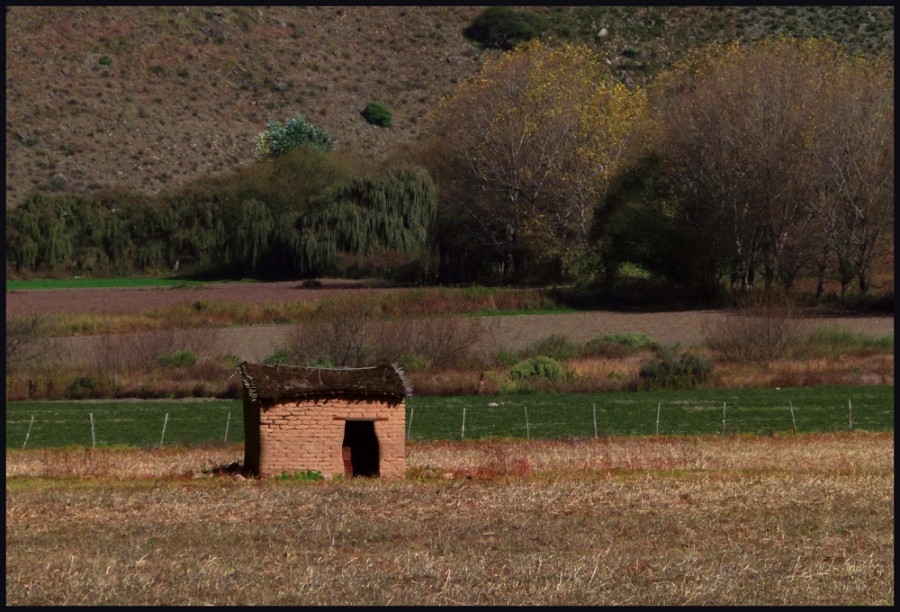 "CAMPESTRE" de Ruben Perea