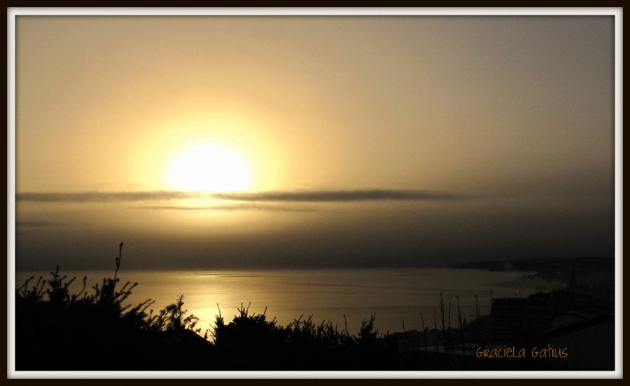 "Amanecer ceniciento" de Graciela Gatius