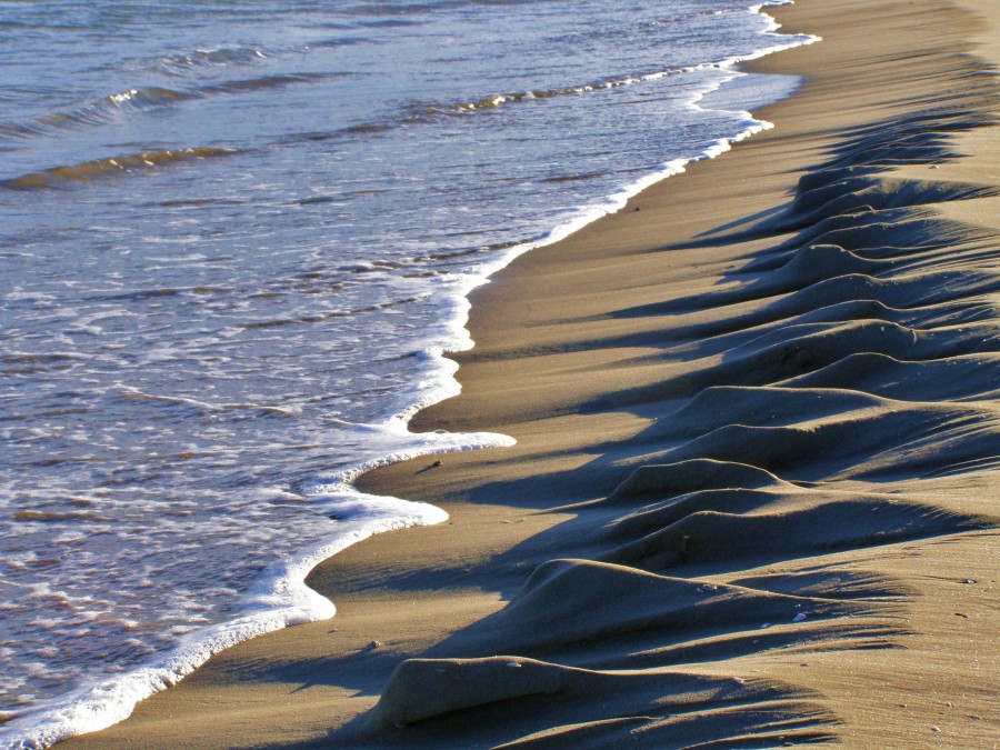 "la playa" de Carlos Segarra