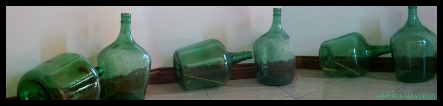 "Botellas" de Andres Mancuso