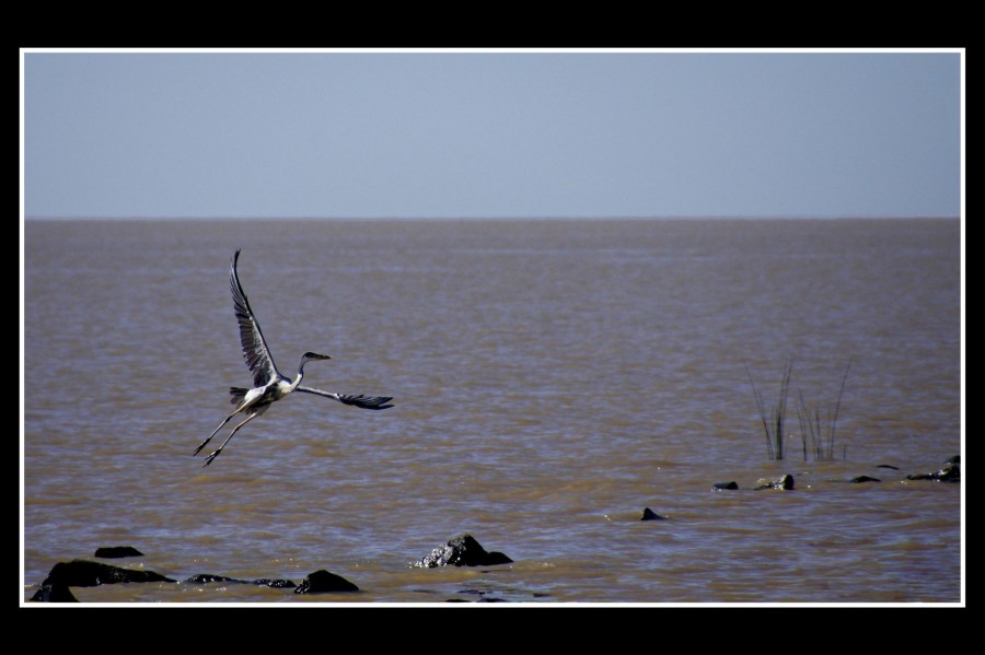 "Alto vuelo" de Hugo Lorenzo