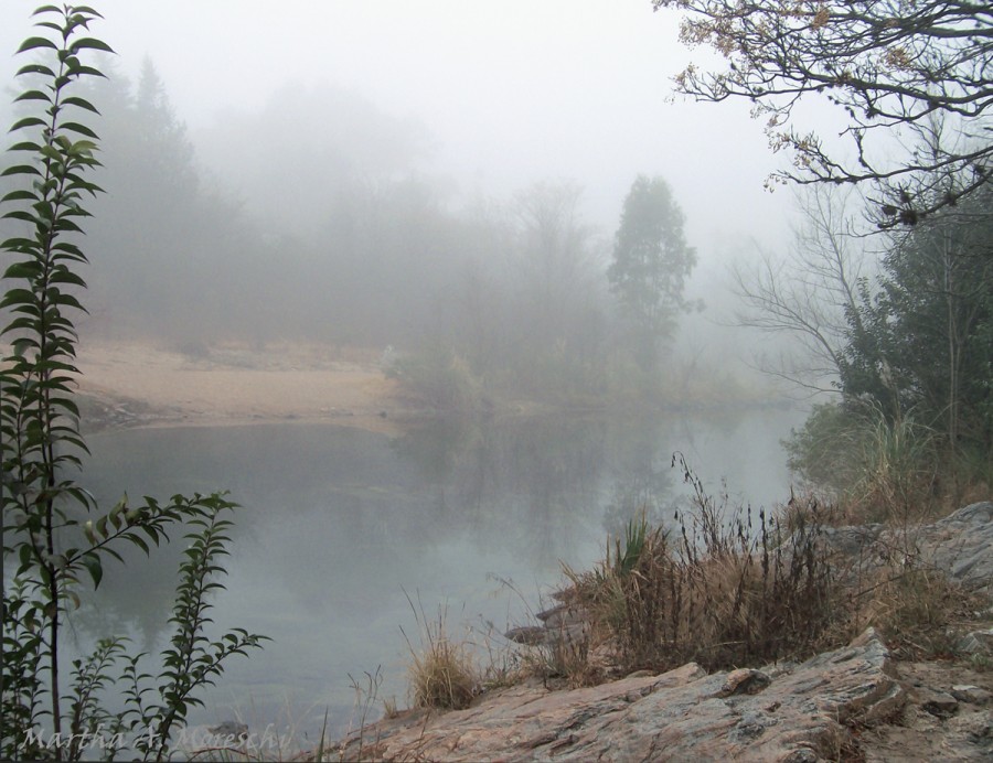 "Niebla en el Anisacate" de Martha A. Moreschi