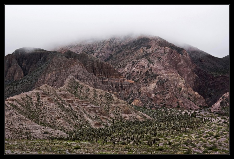 "Por Jujuy" de Seba Japas