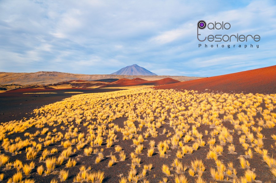 "La Payunia, Mendoza" de Pablo Tesoriere