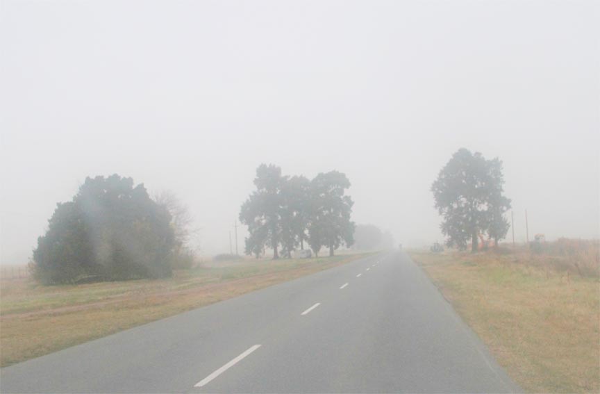 "niebla en la ruta" de Vernica Dana