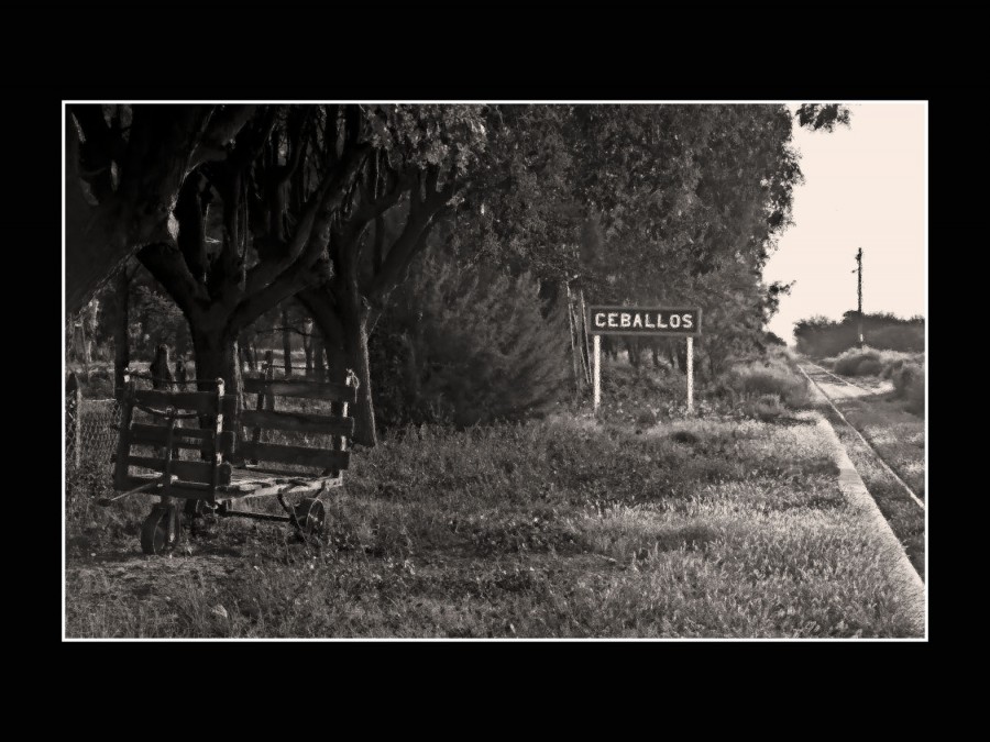 "estacion Ceballos" de Jose Luis Anania