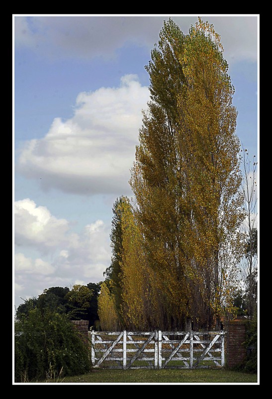 "Villa Ruiz" de Hugo Lorenzo