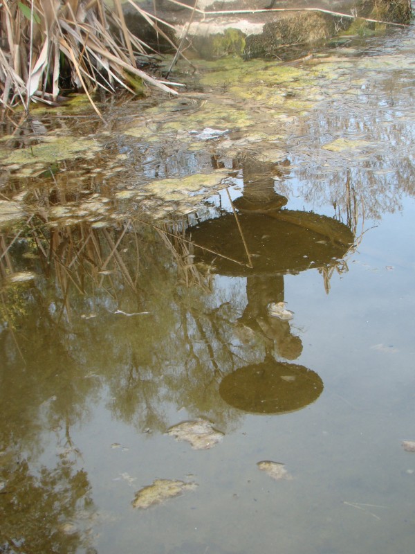 "Reflejo II" de Sandra Ermandraut