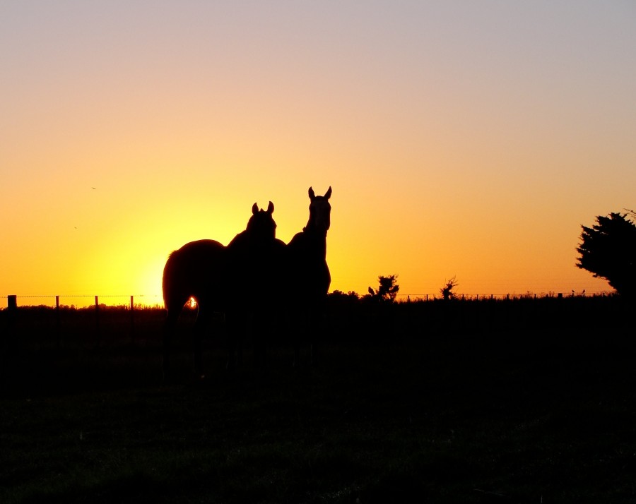 "Al amanecer" de Ricardo Lagrange